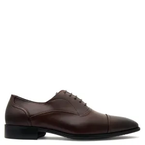 Cole Brown Oxford Shoes